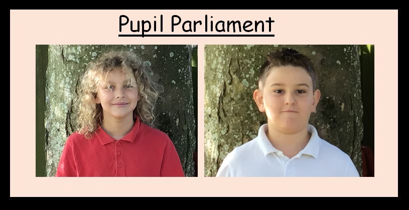 Pupil Parliament 2024