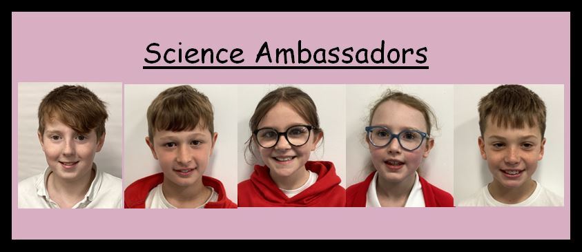 Science ambassadors