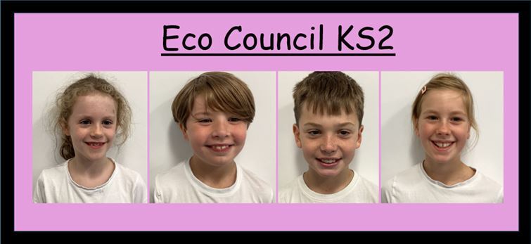 Eco council KS2