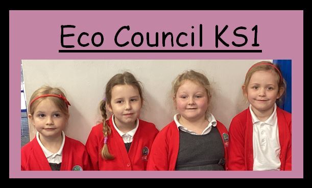 Eco council KS1