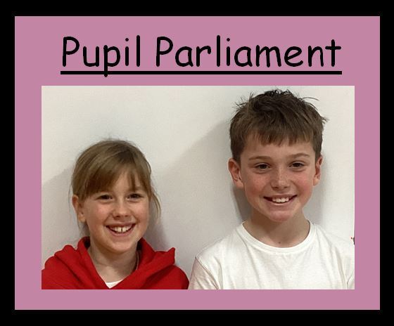 Pupil Parliament photo ready